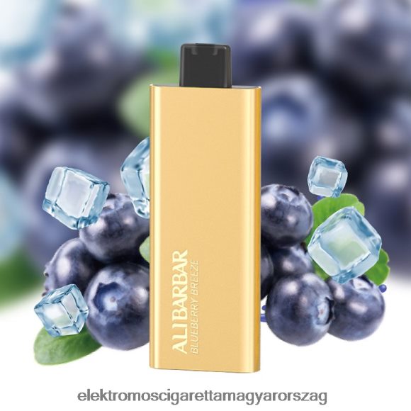 Alibarbar Pandora 7000 eldobható vape áfonyás szellő Z2466051 - Elektromos Cigaretta Töltő