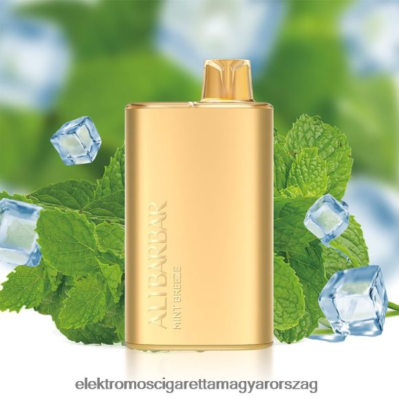 Alibarbar Rich 8000 eldobható vape menta szellő Z246608 - Elektromos Cigaretta Bolt