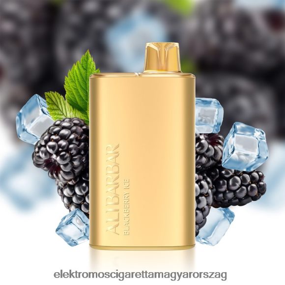 Alibarbar Rich 8000 eldobható vape szederjég Z2466010 - Elektromos Cigaretta Töltő Alkatrészek