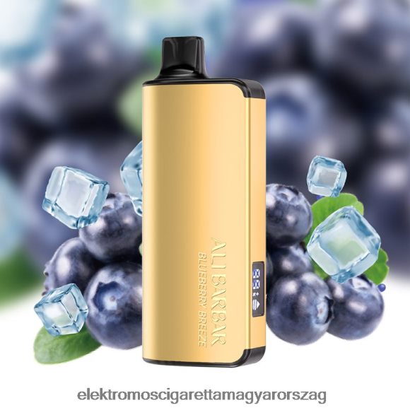 Alibarbar Ingot 20000 eldobható vape áfonyás szellő Z2466032 - Elektromos Cigaretta Fajták