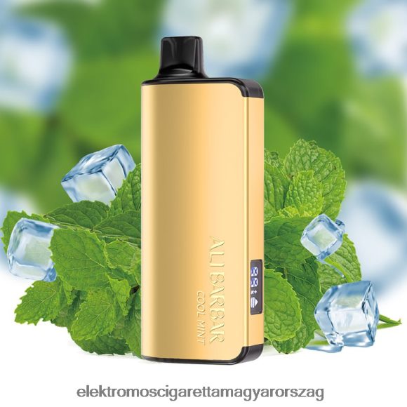 Alibarbar Ingot 20000 eldobható vape hűvös menta Z2466035 - Elektromos Cigaretta Repülő