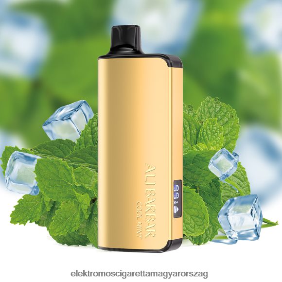 Alibarbar Ingot 9000 eldobható vape hűvös menta Z2466018 - Elektromos Cigaretta Bolt