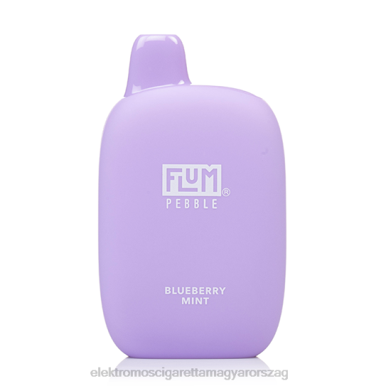 FLUM PEBBLES 6000 fújás áfonyás menta 8DDRP23 - Elektromos Cigaretta Liquid