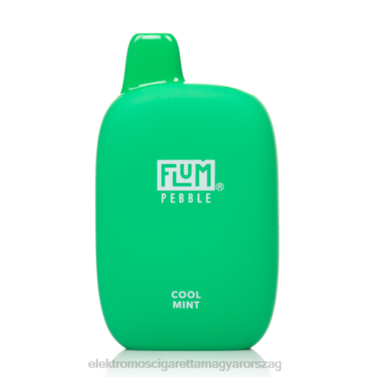 FLUM PEBBLES 6000 fújás hűvös menta 8DDRP26 - Elektromos Cigaretta Árak