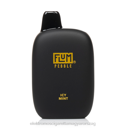 FLUM PEBBLES 6000 fújás jeges menta 8DDRP30 - Elektromos Cigaretta Töltő Alkatrészek
