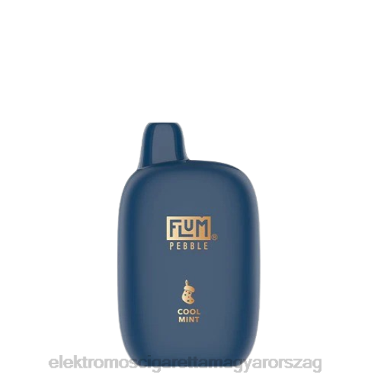 FLUM PEBBLES 6000 puff (karácsonyi kiadás) hűvös menta 8DDRP5 - Elektromos Cigaretta Repülő