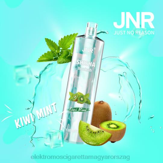 kiwi menta LPPNH681 Elektromos Cigaretta Töltő - JNR SHISHA