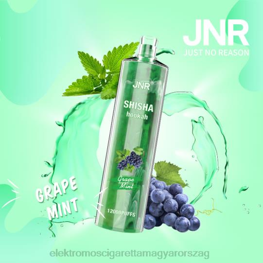 szőlő menta LPPNH678 Elektromos Cigaretta Bolt - JNR SHISHA