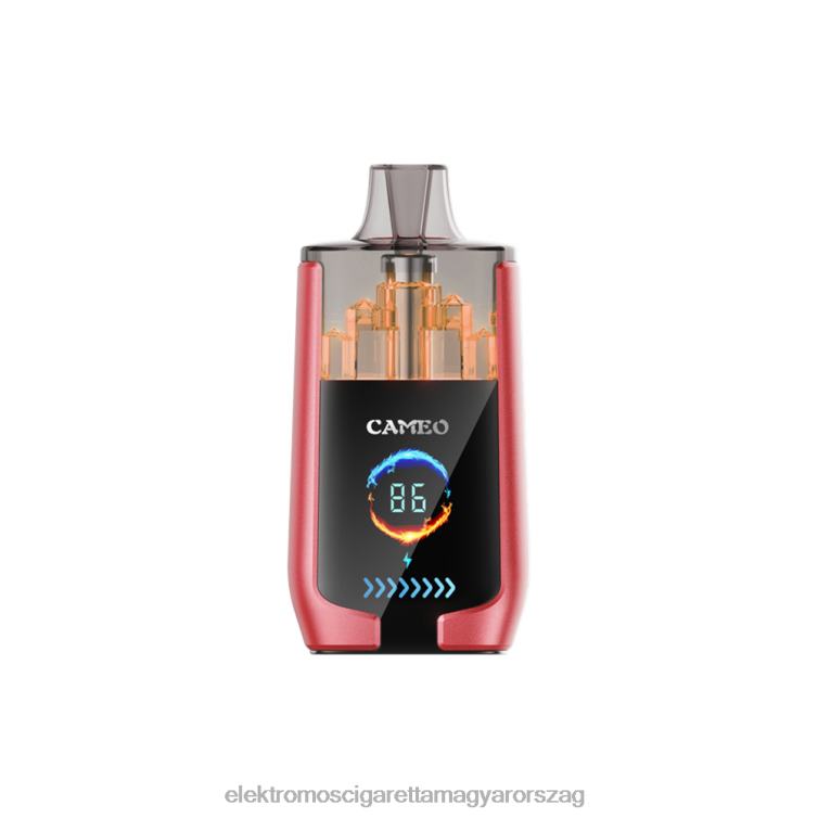 LAVIE CAMEO 30000 fújás görögdinnye jég 62VL414 - Vape Nagykereskedés