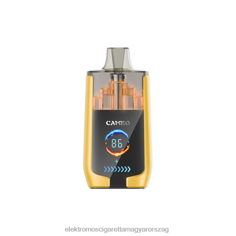 LAVIE CAMEO 30000 fújás mangó jég 62VL421 - Elektromos Cigaretta Töltő