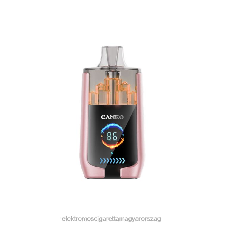 LAVIE CAMEO 30000 fújás trópusi gyümölcs 62VL419 - Elektromos Cigaretta Töltő Vélemények