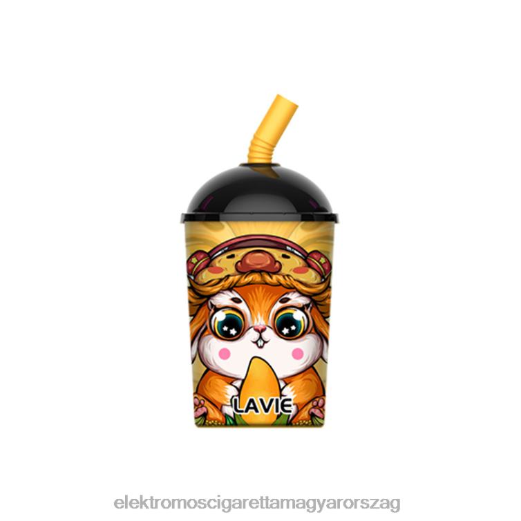 LAVIE Max Cup 8000 fújás mangó jég 62VL4262 - Elektromos Cigaretta Fajták