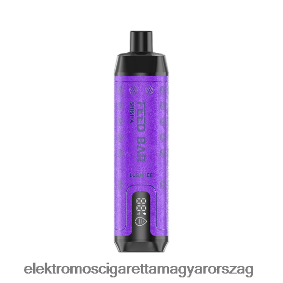 Vapsolo SHISHA eldobható vape buja jég Z24660102 - Elektromos Cigaretta Fajták