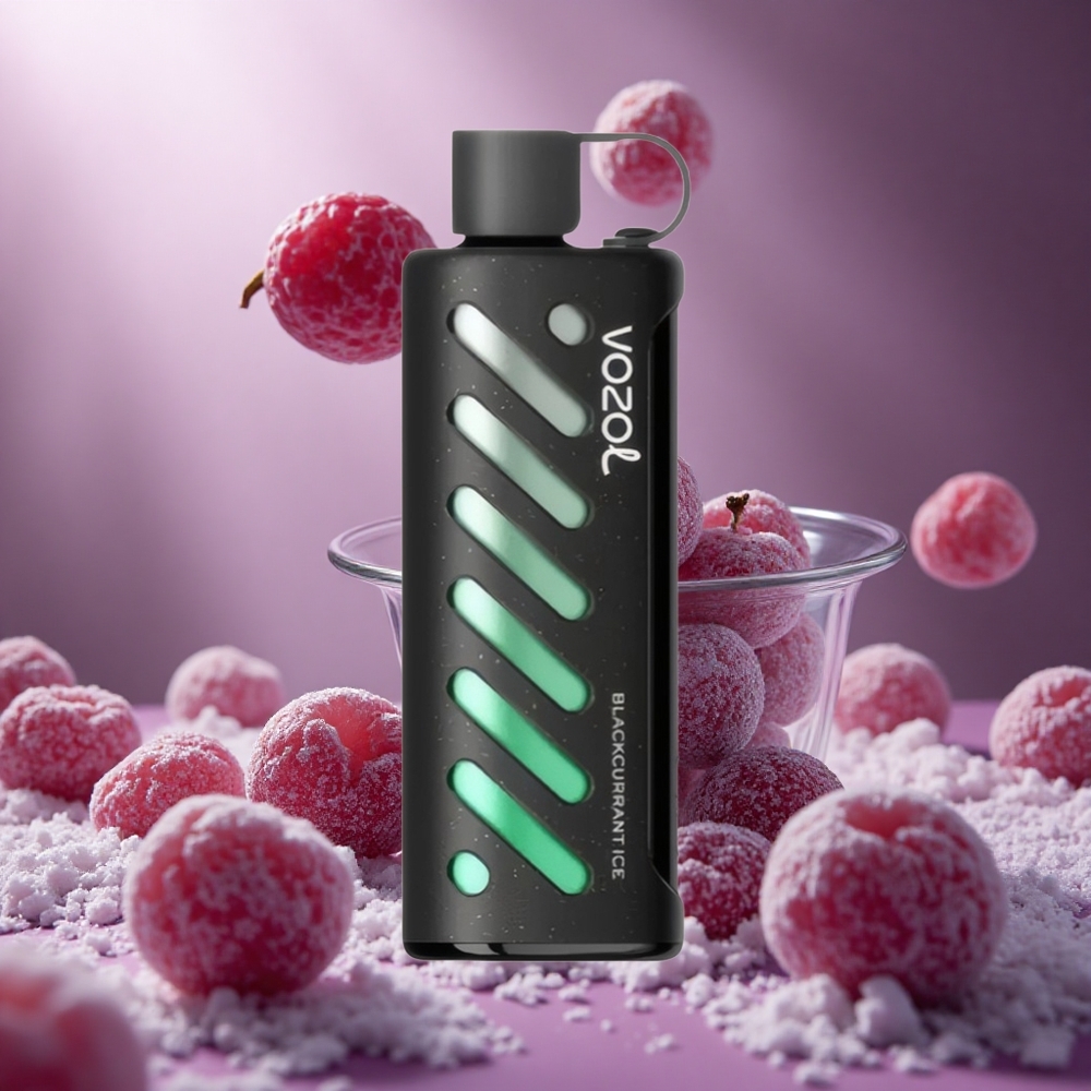 VOZOL Gear Hookah 25000 Puffs Feketeribizli Jég hungary vape wholesale