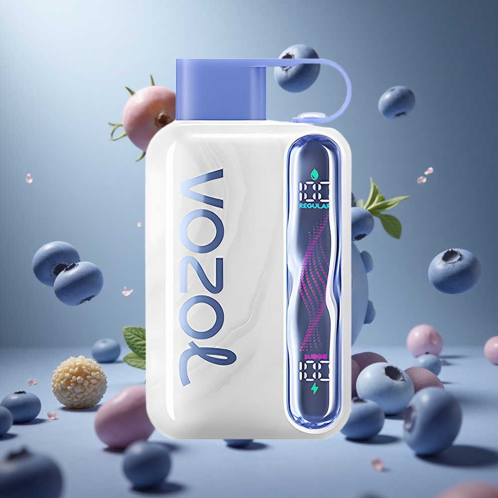 VOZOL STAR 40000 Puffs Boróka Menta Hungary vape wholesale