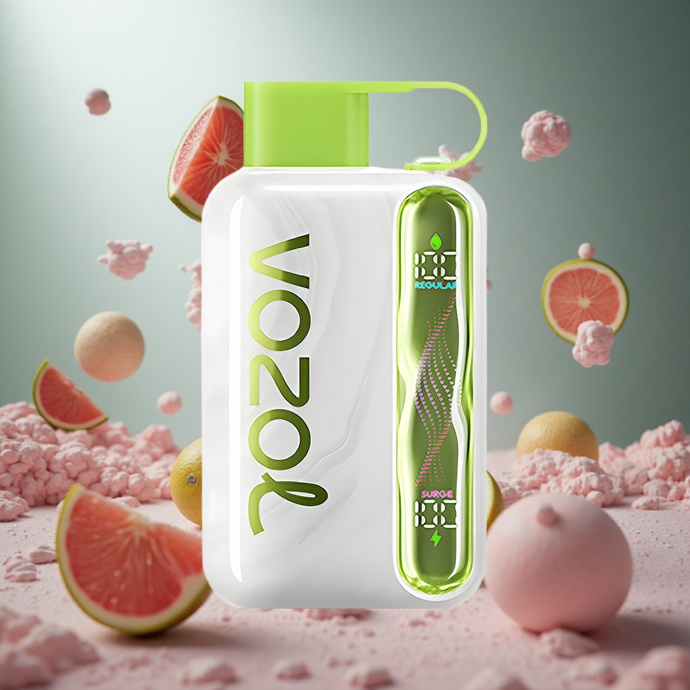 VOZOL STAR 40000 Puffs Coolmenta hungary vape wholesale